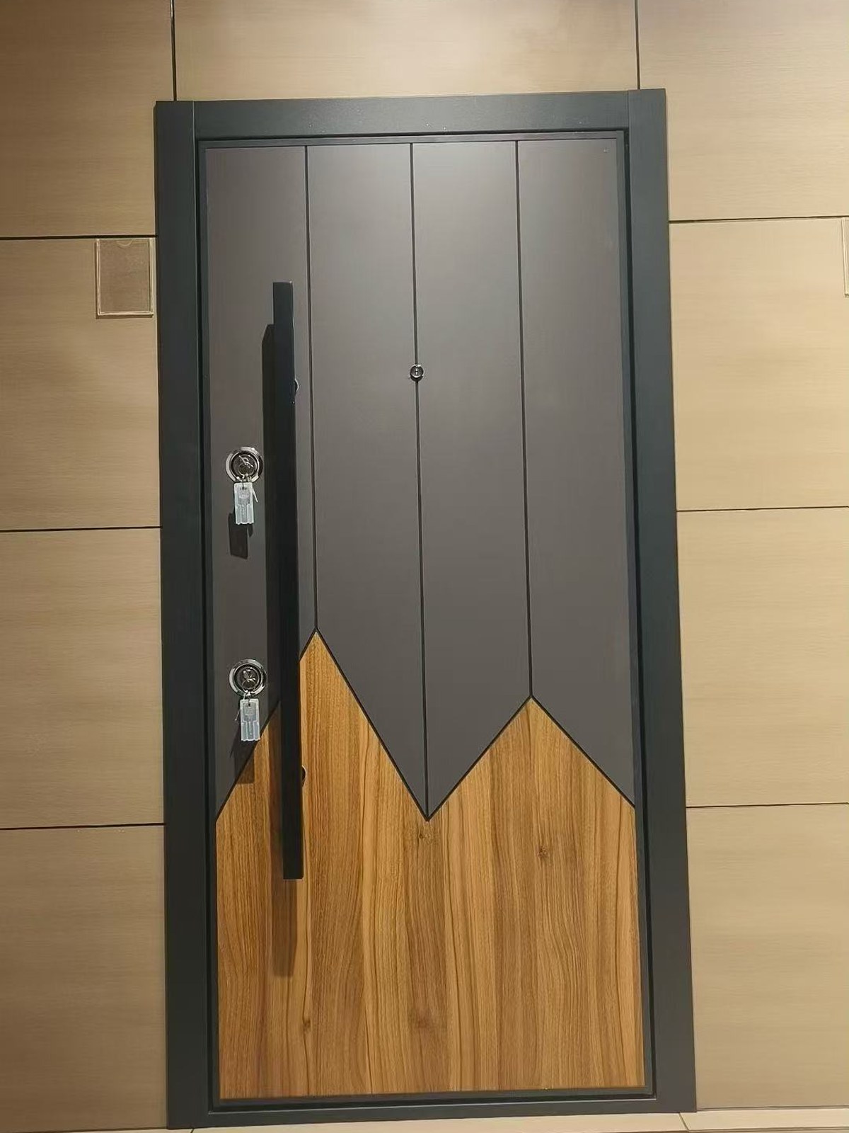 Steel Doors project